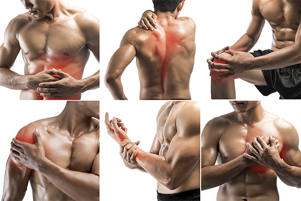 Hình ảnh về đau cơ khi tập gym